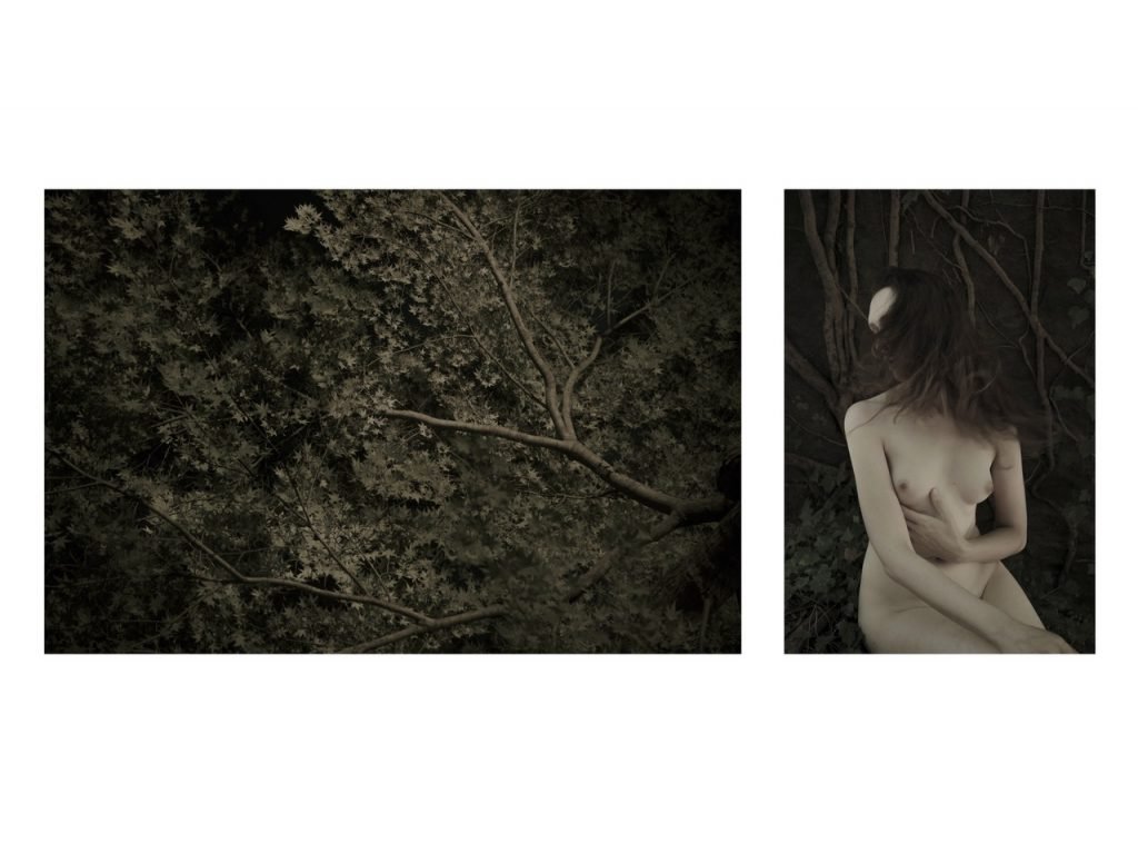 PHROOM magazine // online exhibition space dedicated to fine art contemporary photography // project